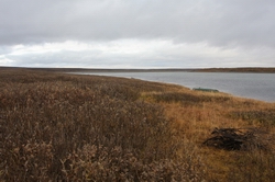 /foto1/2010/Воркута. 23сентября-6 окятбря. Р.Кара/Resize of IMG_4105.JPG